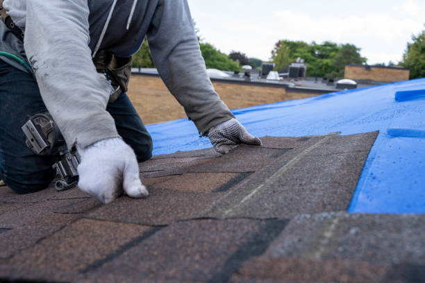 Best Commercial Roofing Services  in Cape May, NJ